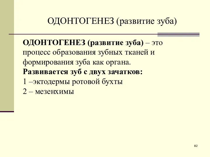 ОДОНТОГЕНЕЗ (развитие зуба) – это процесс образования зубных тканей и