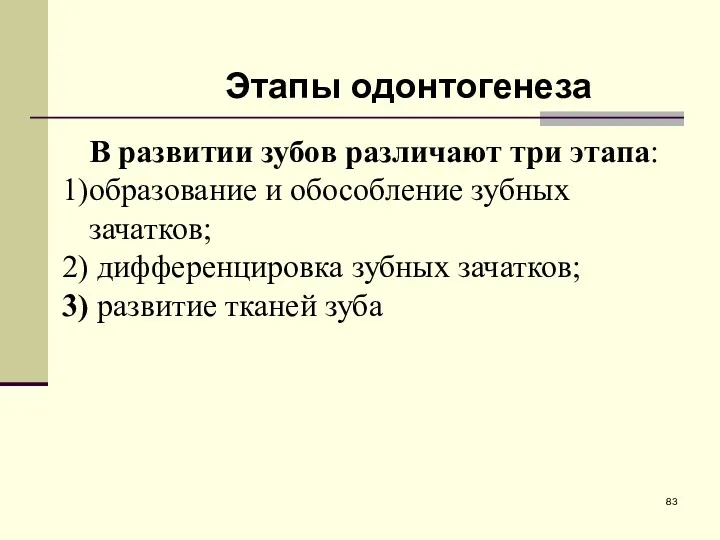 В развитии зубов различают три этапа: образование и обособление зубных