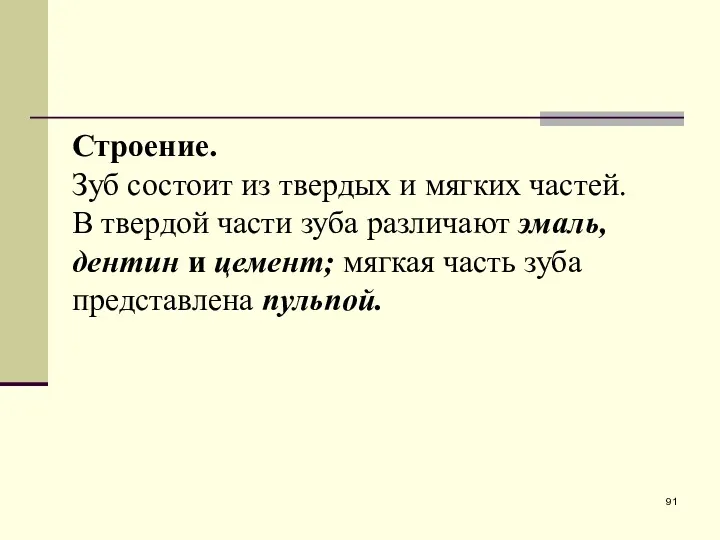 Строение. Зуб состоит из твердых и мягких частей. В твердой