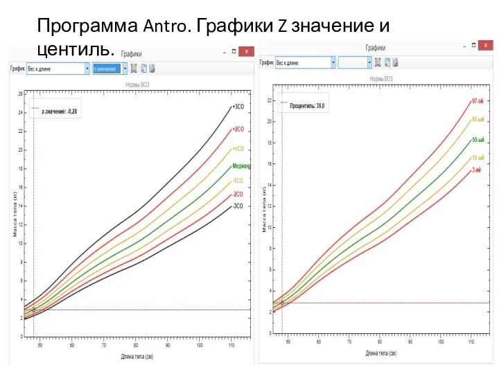 Программа Antro. Графики Z значение и центиль.