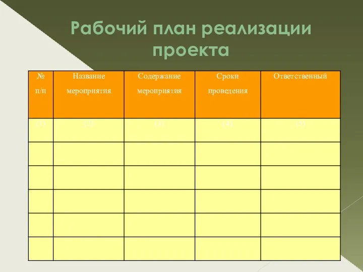 Рабочий план реализации проекта