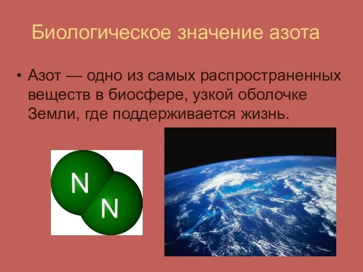 Биологическое значение азота Азот — одно из самых распространенных веществ в биосфере, узкой