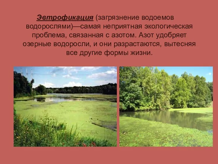Эвтрофикация (загрязнение водоемов водорослями)—самая неприятная экологическая проблема, связанная с азотом. Азот удобряет озерные
