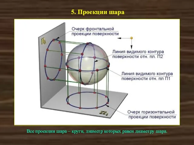 5. Проекции шара Все проекции шара – круги, диаметр которых равен диаметру шара.