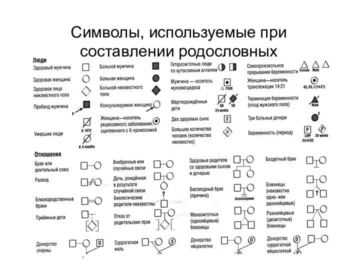 Символы, используемые при составлении родословных