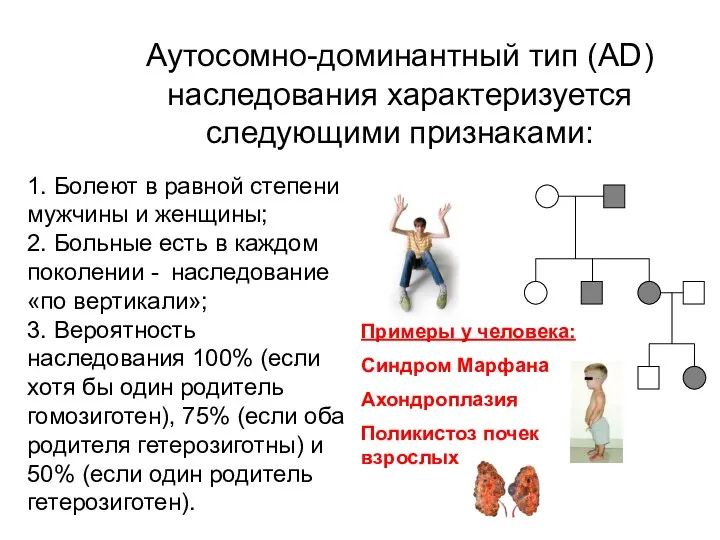 Аутосомно-доминантный тип (AD) наследования характеризуется следующими признаками: 1. Болеют в