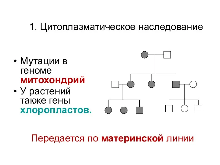 1. Цитоплазматическое наследование Мутации в геноме митохондрий У растений также гены хлоропластов. Передается по материнской линии