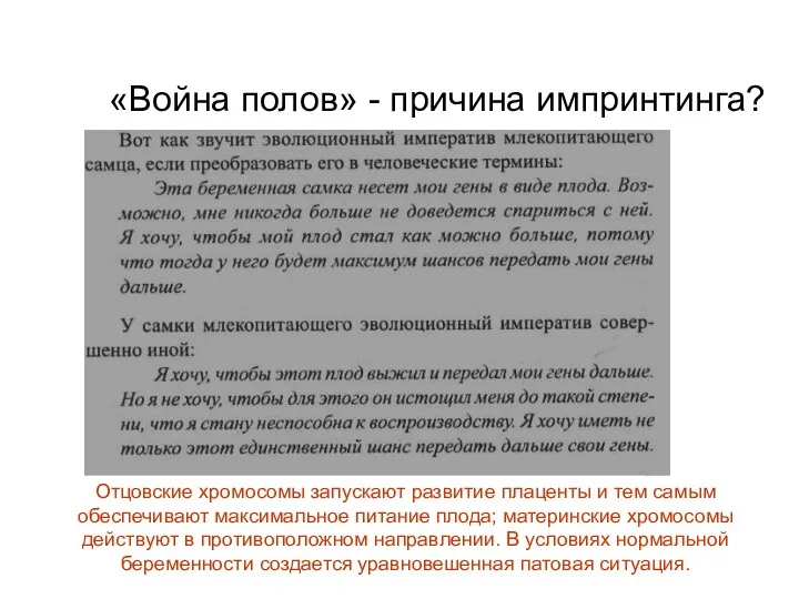 «Война полов» - причина импринтинга? Отцовские хромосомы запускают развитие плаценты