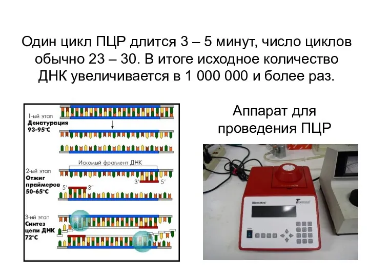 Аппарат для проведения ПЦР Один цикл ПЦР длится 3 –