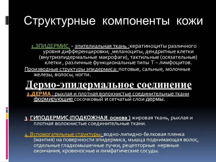 Структурные компоненты кожи 1.ЭПИДЕРМИС - эпителиальная ткань :кератиноциты различного уровня