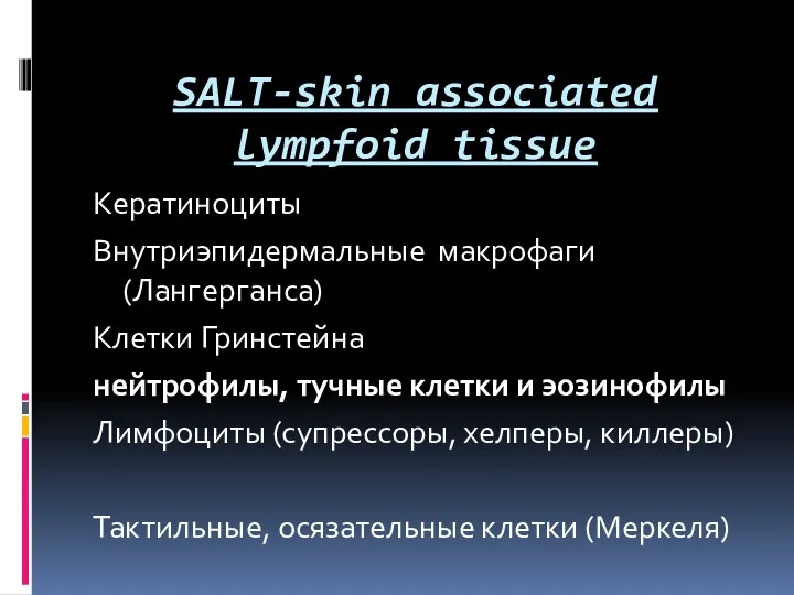 SALT-skin associated lympfoid tissue Кератиноциты Внутриэпидермальные макрофаги (Лангерганса) Клетки Гринстейна