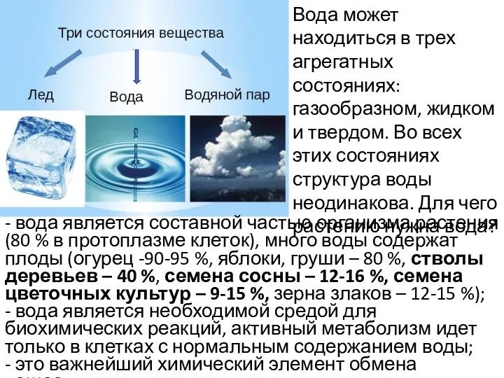 Вода может находиться в трех агрегатных состояниях: газообразном, жидком и