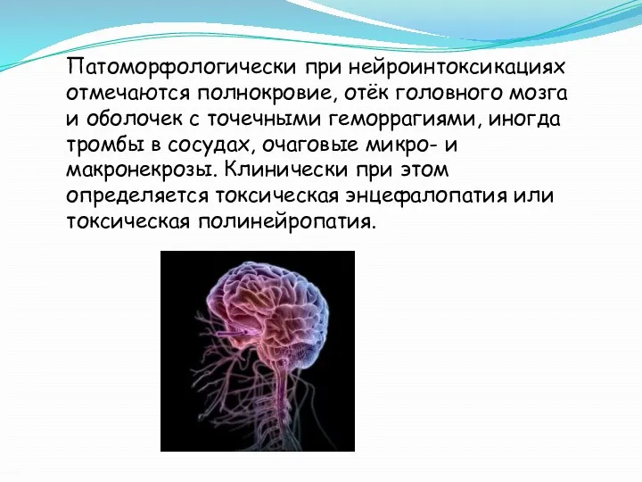 Патоморфологически при нейроинтоксикациях отмечаются полнокровие, отёк головного мозга и оболочек