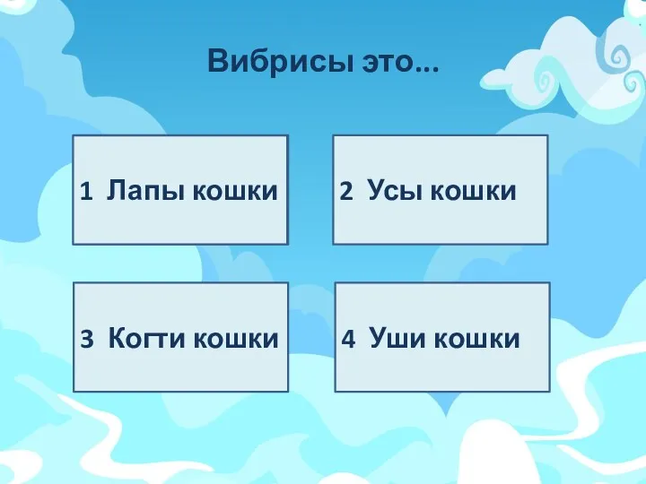 Вибрисы это... 1 4 Уши кошки 3 Когти кошки 2 Усы кошки 1 Лапы кошки