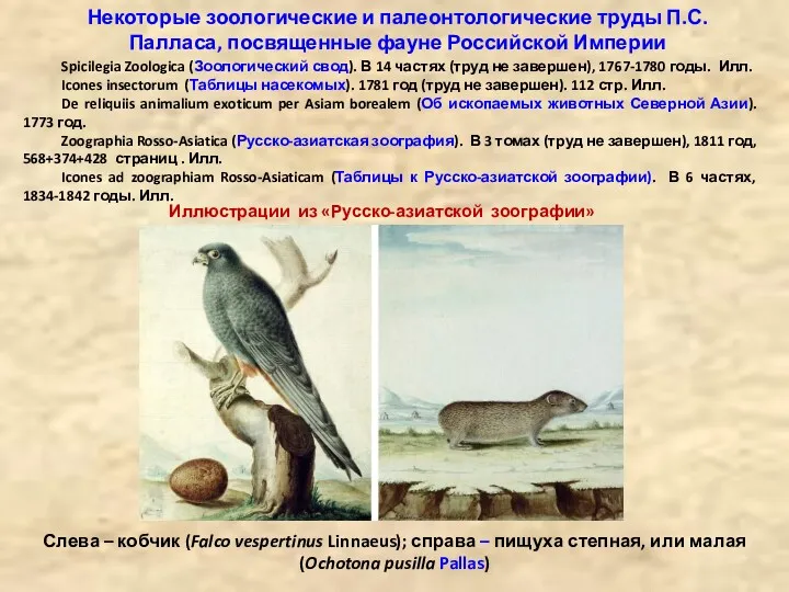 Некоторые зоологические и палеонтологические труды П.С. Палласа, посвященные фауне Российской