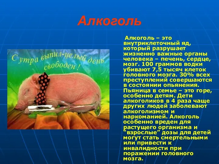 Алкоголь Алкоголь – это внутриклеточный яд, который разрушает жизненно важные