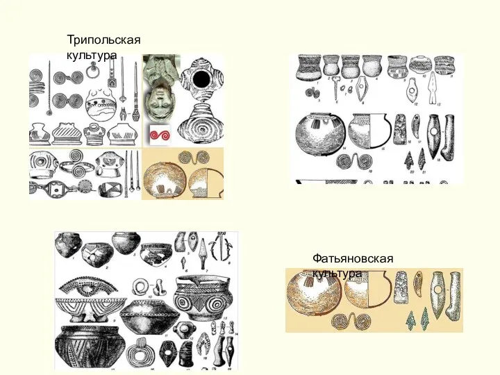 Трипольская культура Фатьяновская культура