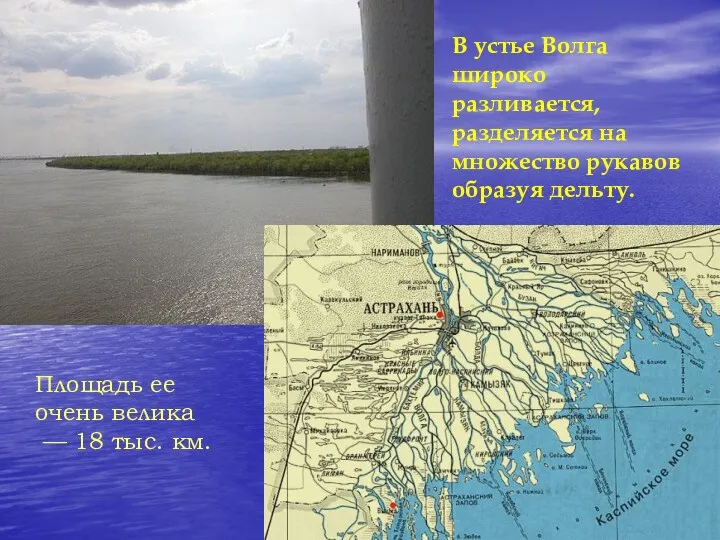 В устье Волга широко разливается, разделяется на множество рукавов образуя дельту. Площадь ее