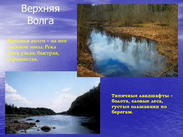 Верхняя Волга Верховья волги – на юге таежной зоны. Река здесь узкая, быстрая,