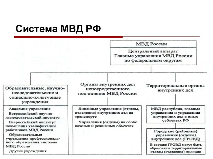 Система МВД РФ