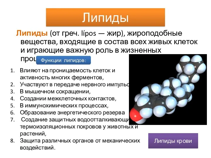 Липиды Липиды (от греч. lípos — жир), жироподобные вещества, входящие в состав всех