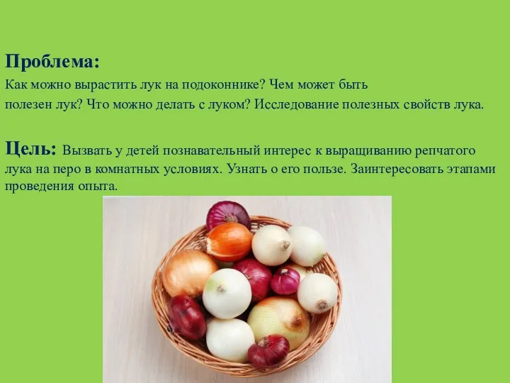 Проблема: Как можно вырастить лук на подоконнике? Чем может быть