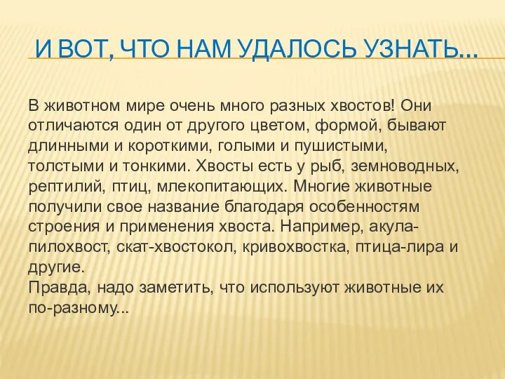 И ВОТ, ЧТО НАМ УДАЛОСЬ УЗНАТЬ… В животном мире очень много разных хвостов!