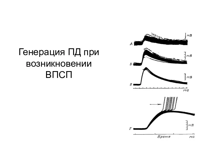 Генерация ПД при возникновении ВПСП