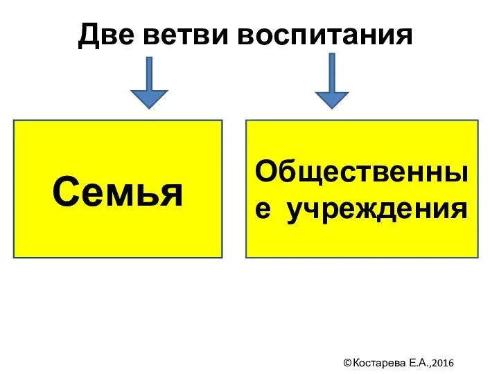 Две ветви воспитания Семья Общественные учреждения ©Костарева Е.А.,2016