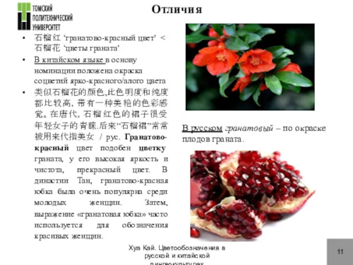 Отличия 石榴红 ‘гранатово-красный цвет’ В китайском языке в основу номинации положена окраска соцветий