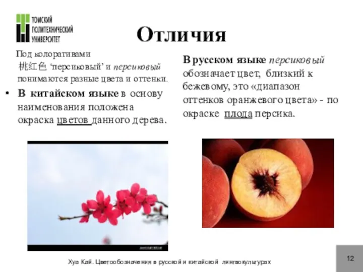 Отличия Под колоративами 桃红色 ‘персиковый’ и персиковый понимаются разные цвета и оттенки. В