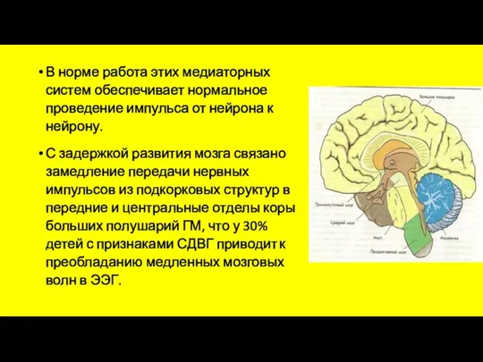 В норме работа этих медиаторных систем обеспечивает нормальное проведение импульса