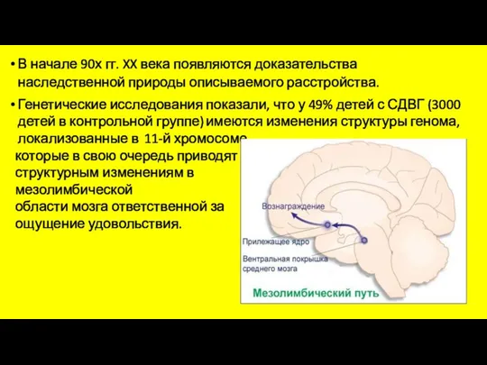 В начале 90х гг. XX века появляются доказательства наследственной природы