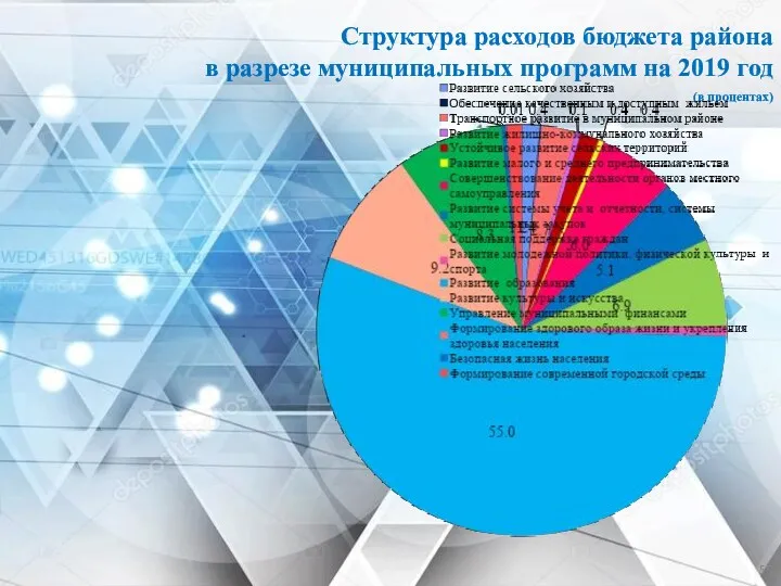 Структура расходов бюджета района в разрезе муниципальных программ на 2019 год (в процентах)