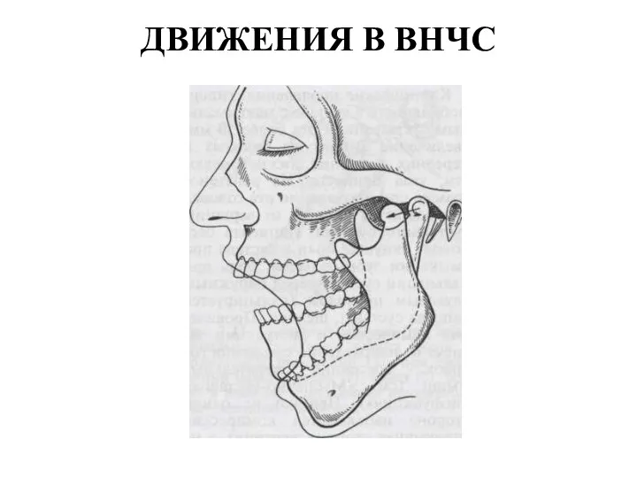 ДВИЖЕНИЯ В ВНЧС