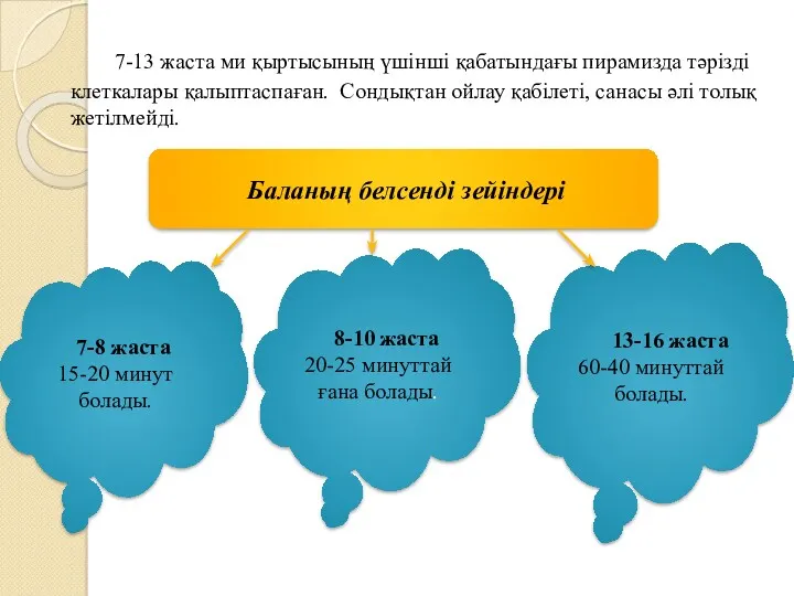 7-13 жаста ми қыртысының үшінші қабатындағы пирамизда тәрізді клеткалары қалыптаспаған.