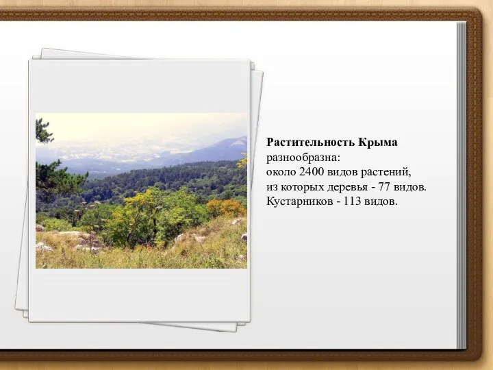 Растительность Крыма разнообразна: около 2400 видов растений, из которых деревья