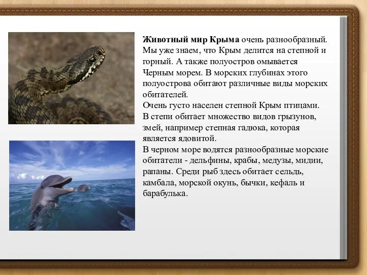 Животный мир Крыма очень разнообразный. Мы уже знаем, что Крым