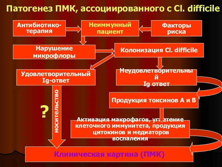 Патогенез ПМК, ассоциированного с Cl. difficile Неиммунный пациент Факторы риска