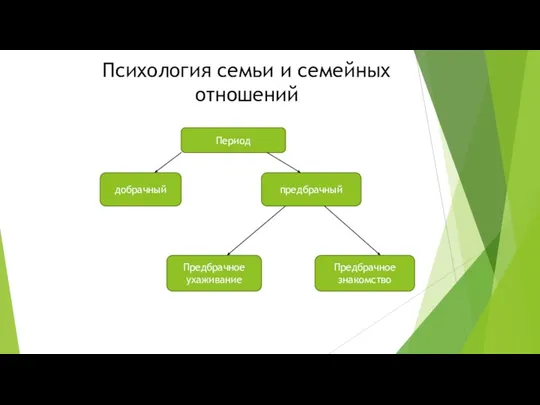 Психология семьи и семейных отношений Период добрачный предбрачный Предбрачное знакомство Предбрачное ухаживание