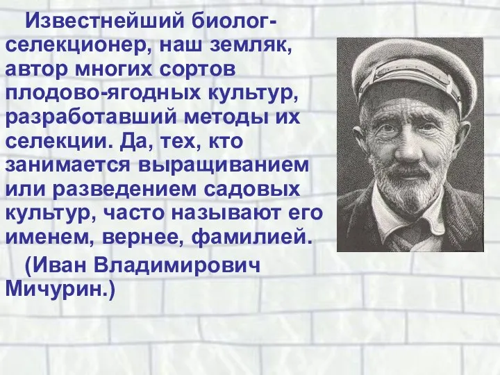 Известнейший биолог-селекционер, наш земляк, автор многих сортов плодово-ягодных культур, разработавший