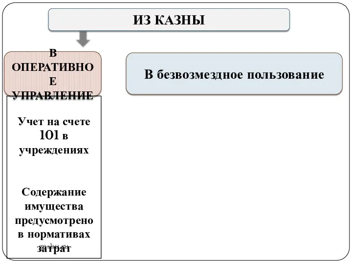 gosbu.ru ИЗ КАЗНЫ В ОПЕРАТИВНОЕ УПРАВЛЕНИЕ Учет на счете 101