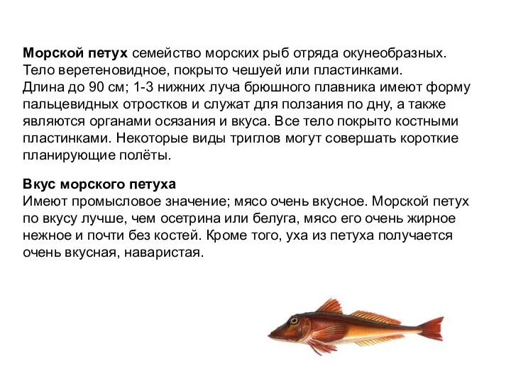 Морской петух семейство морских рыб отряда окунеобразных. Тело веретеновидное, покрыто
