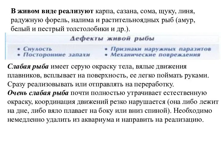 В живом виде реализуют карпа, сазана, сома, щуку, линя, радужную