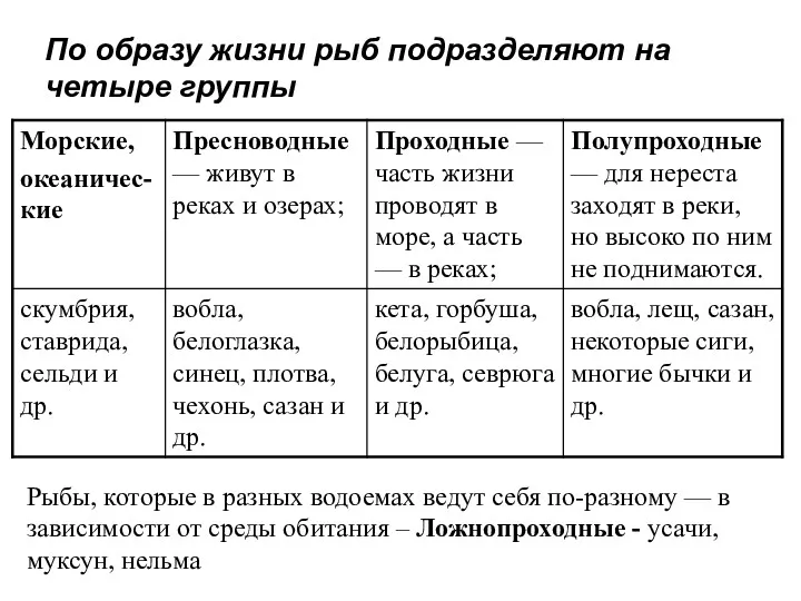 По образу жизни рыб подразделяют на четыре группы Рыбы, которые