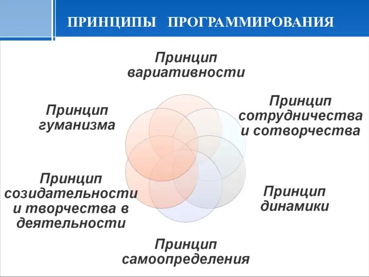 ПРИНЦИПЫ ПРОГРАММИРОВАНИЯ