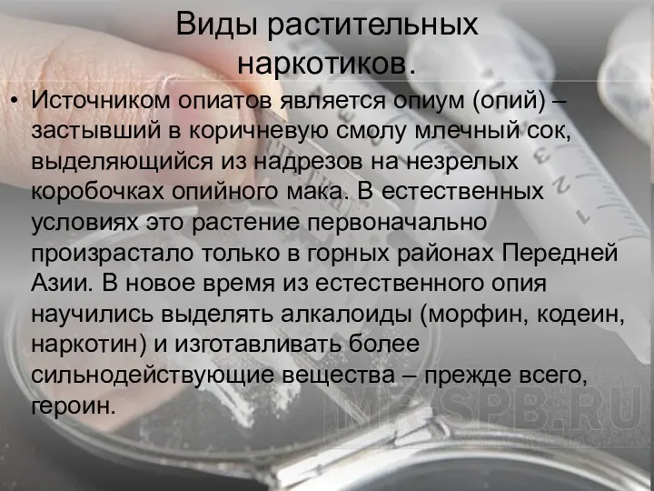 Виды растительных наркотиков. Источником опиатов является опиум (опий) – застывший