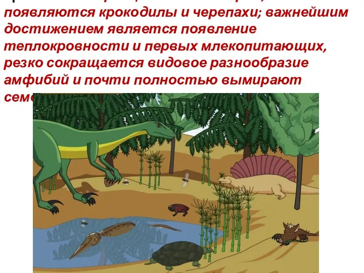Триас: начало расцвета динозавров, появляются крокодилы и черепахи; важнейшим достижением является появление теплокровности