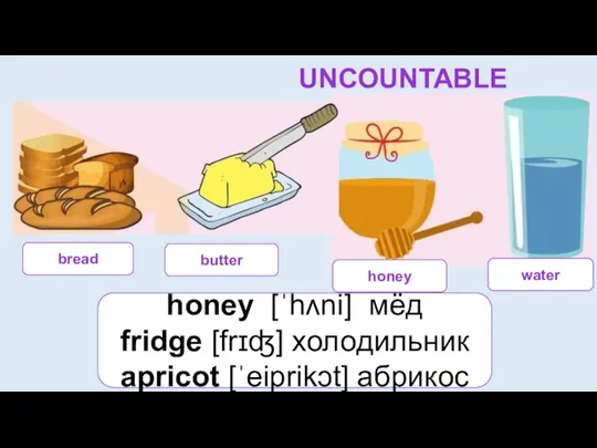 COUNTABLE OR UNCOUNTABLE? bread butter water honey honey [ˈhʌni] мёд fridge [frɪʤ] холодильник аpricot [ˈeiprikɔt] абрикос