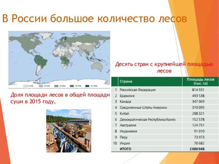В России большое количество лесов Доля площади лесов в общей площади суши в